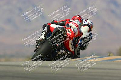 media/Jan-13-2024-SoCal Trackdays (Sat) [[9c032fe5aa]]/Turn 9 Backside (110pm)/